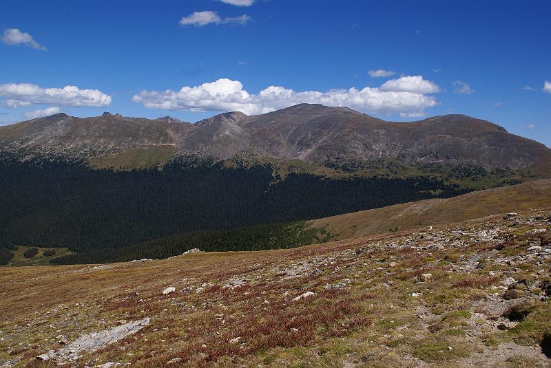 DSC04745.JPG - Alpine Ridge Trail - RMNP