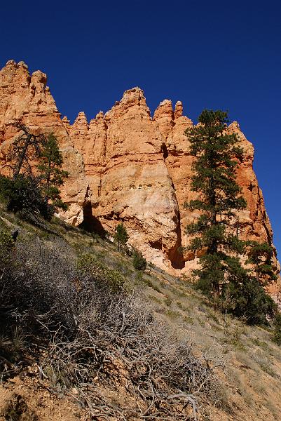 DSC05232.JPG - Navajo Trail - Bryce Canyon NP