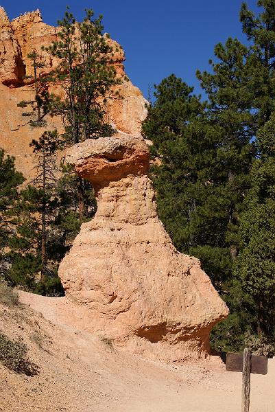 DSC05233.JPG - Navajo Trail - Bryce Canyon NP