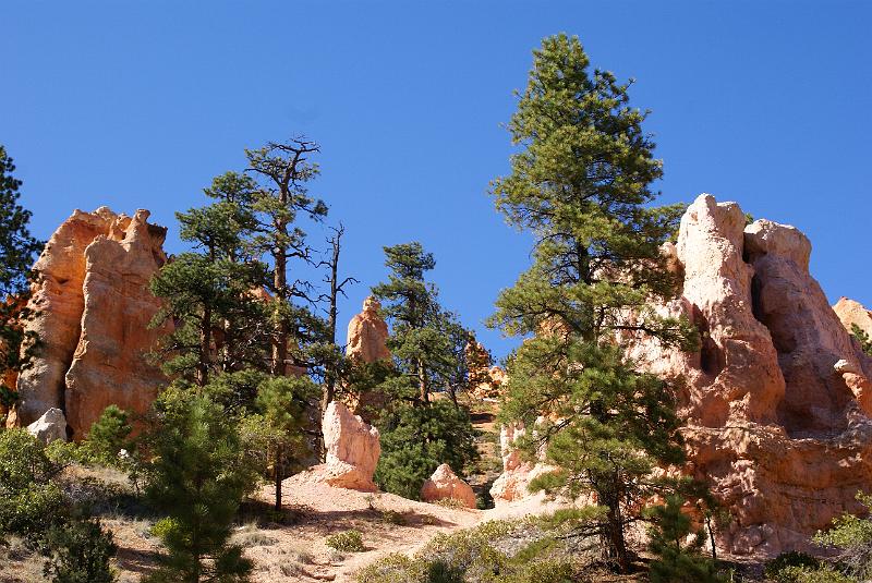 DSC05235.JPG - Navajo Trail - Bryce Canyon NP