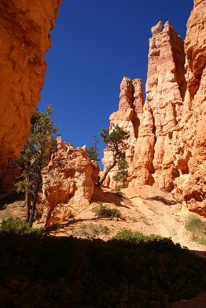 DSC05253.JPG - Queen's Garden Trail - Bryce Canyon NP