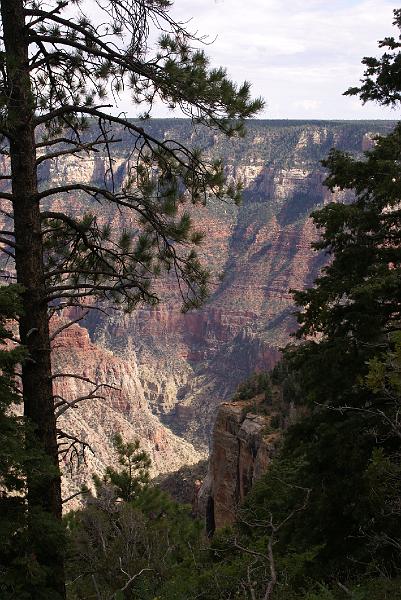 DSC05523.JPG - Bright Angel Point Trail - North Rim - Grand Canyon NP
